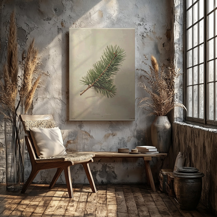 Pine Sprig Botanical Canvas – Minimalist Rustic Holiday Wall Art - Gifitto