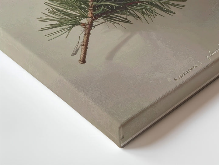 Pine Sprig Botanical Canvas – Minimalist Rustic Holiday Wall Art - Gifitto