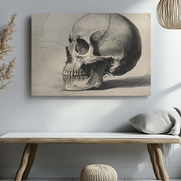 Anatomical Skull Engraving Canvas – Vintage Gothic Wall Art in Ink on Cream - Gifitto