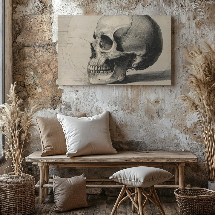 Anatomical Skull Engraving Canvas – Vintage Gothic Wall Art in Ink on Cream - Gifitto