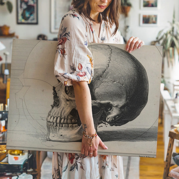 Anatomical Skull Engraving Canvas – Vintage Gothic Wall Art in Ink on Cream - Gifitto