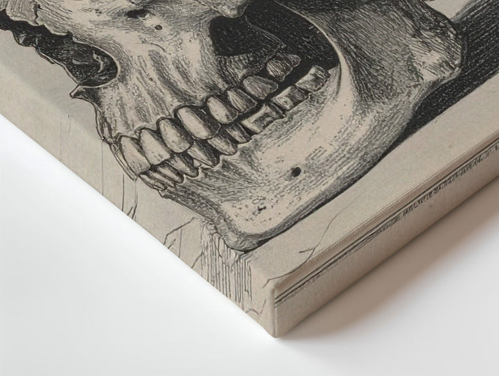 Anatomical Skull Engraving Canvas – Vintage Gothic Wall Art in Ink on Cream - Gifitto