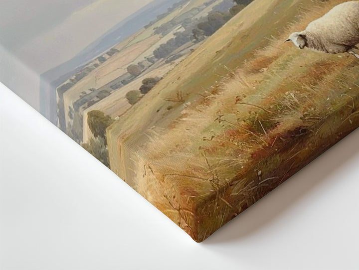Solitary Sheep Canvas – Pastoral Landscape of Peace and Divine Watchfulness - Gifitto