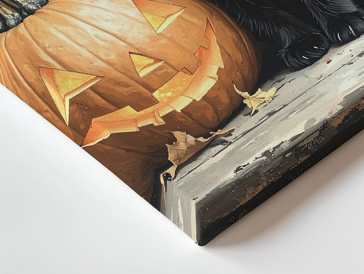 Black Kitten & Jack-o'-Lantern Canvas – Cozy Halloween Tabletop Scene - Gifitto